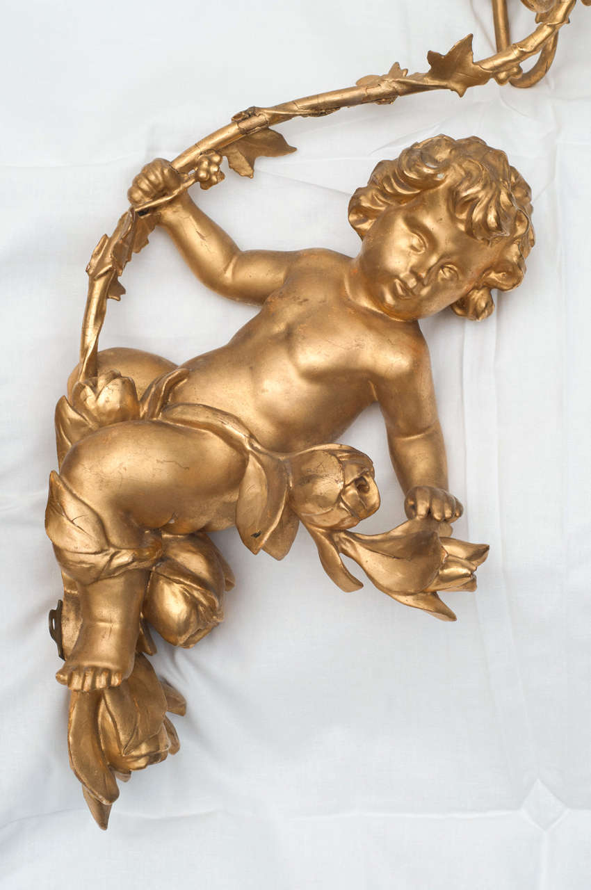 Pair of Italian Gilded Putti wall sconces In Good Condition For Sale In Kensington, MD