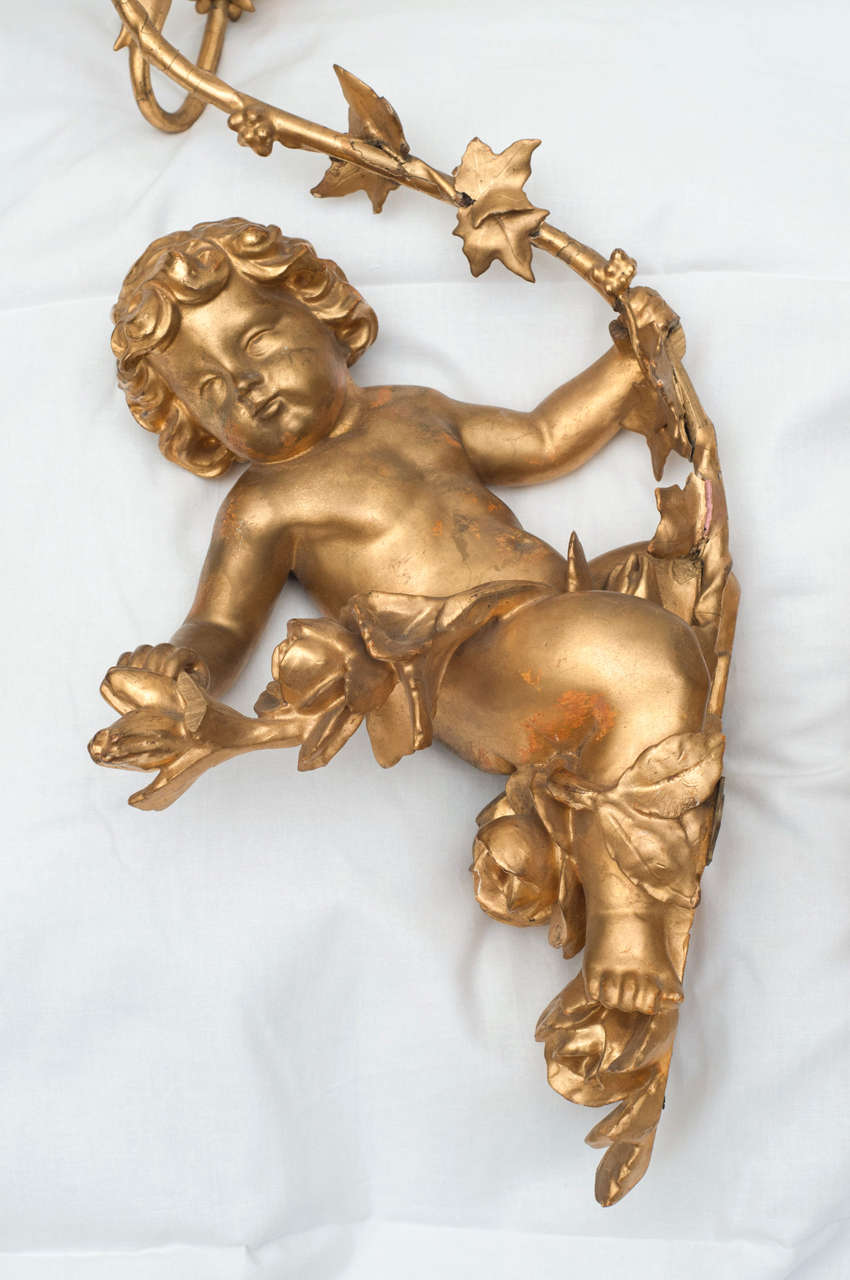 19th Century Pair of Italian Gilded Putti wall sconces For Sale