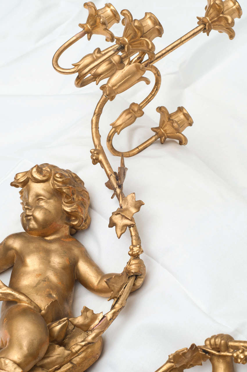 Pair of Italian Gilded Putti wall sconces For Sale 1