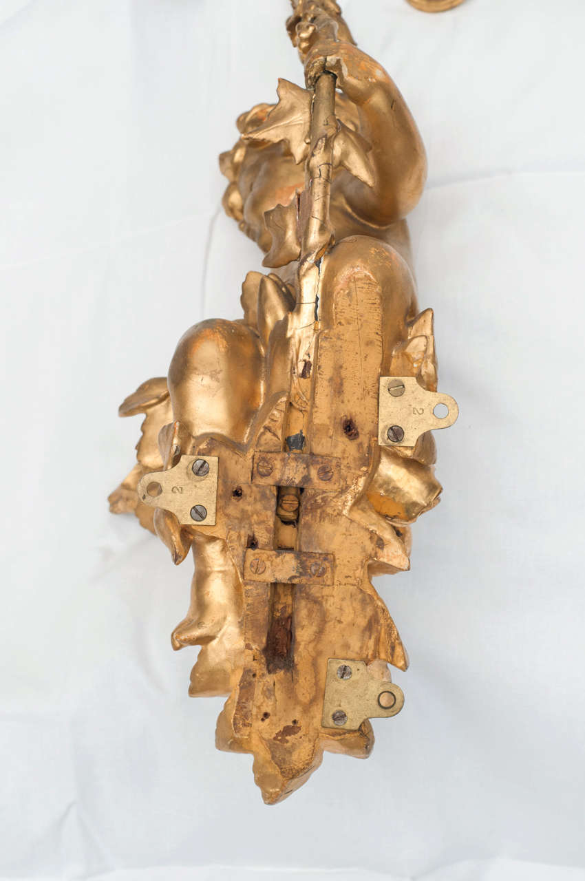 Pair of Italian Gilded Putti wall sconces For Sale 2