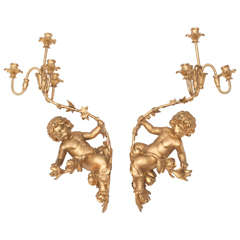 Antique Pair of Italian Gilded Putti wall sconces