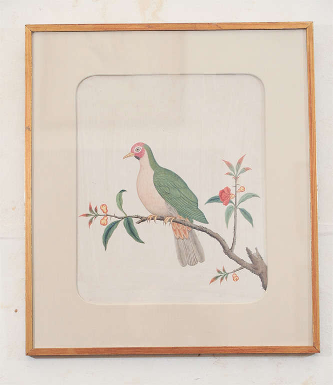 Chinese Export Study of a Bird