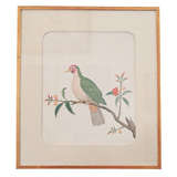 Chinese Export Study of a Bird