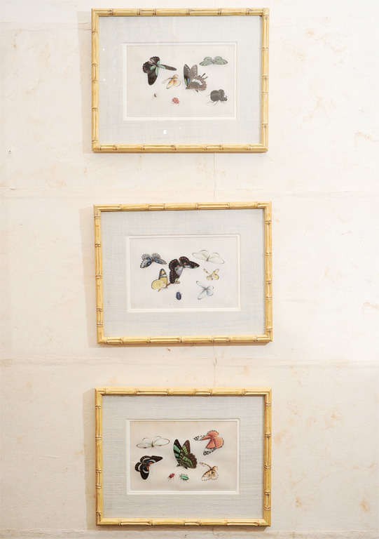 Set of Six Chinese Export Butterfly Watercolors