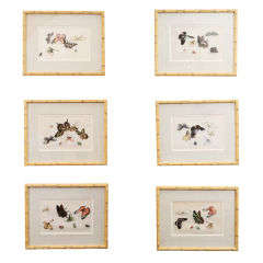 Set of Six Chinese Export Butterfly Watercolors