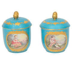 Pair Of Sevres Covered Jars
