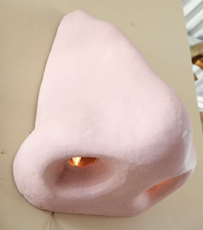 nose wall light