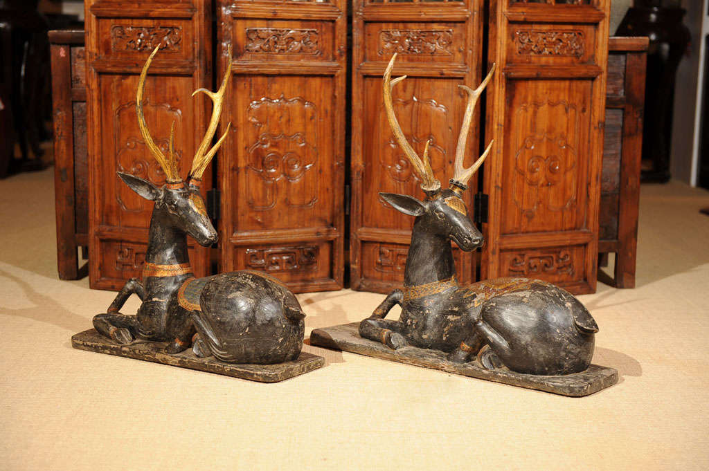 Pair of Temple Deer