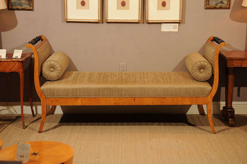 19th Century Biedermeier Fruitwood and Ebonized Settee