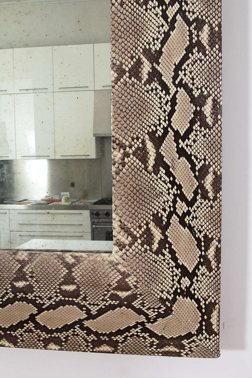 Monumental Genuine Python Mirror 2