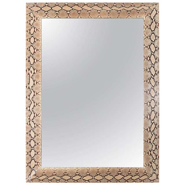Monumental Genuine Python Mirror at 1stDibs