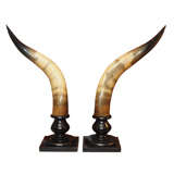 Pair Of Mounted French Steer  Horns
