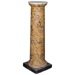 Grande colonne Scagliola de Sienne