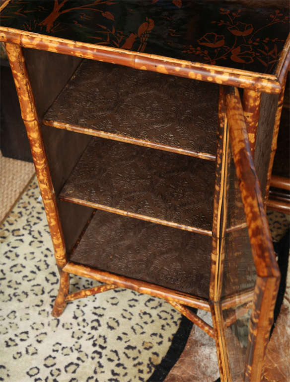 19th Century English Bamboo Cabinet with Fine Japanning 6