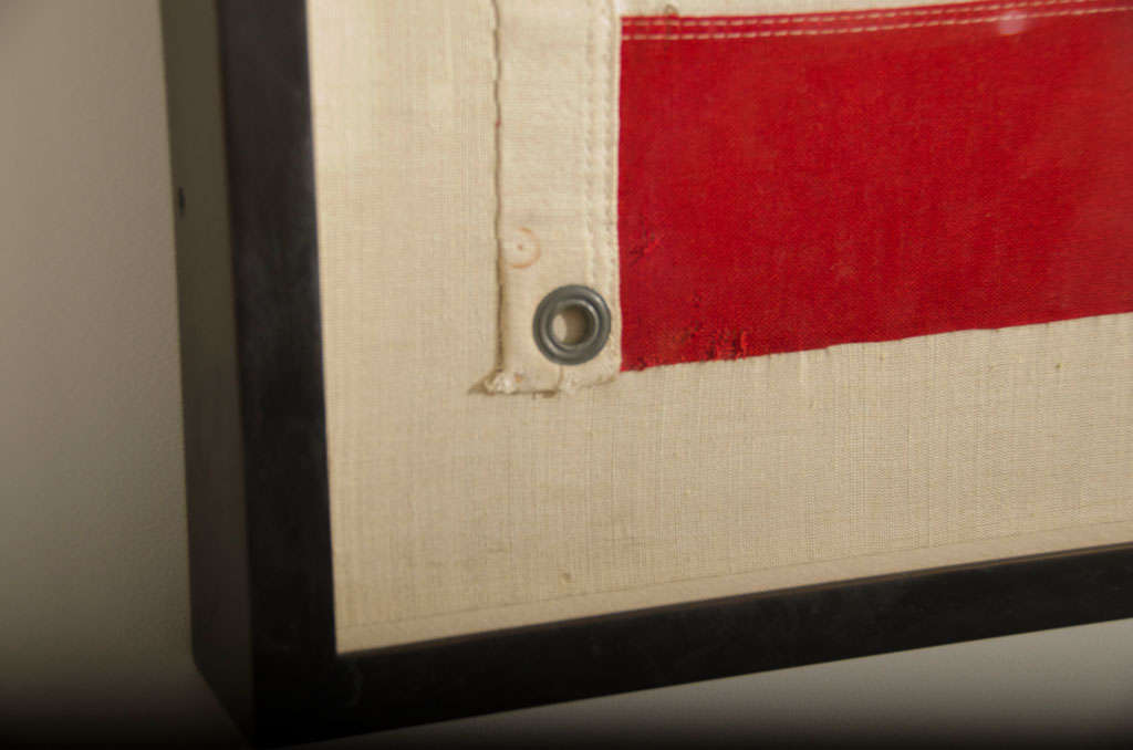 American Flag in Solid Bronze Frame 1
