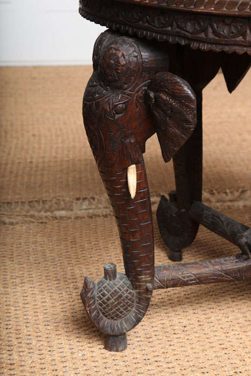 Anglo Indian Elephant Table 1