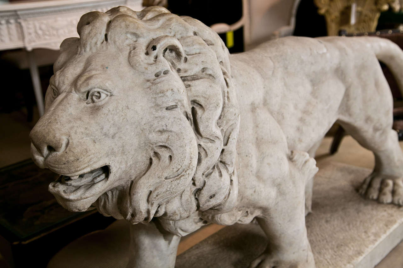 19th Century 19th C Carved Marble Lion on Marble Plinth
