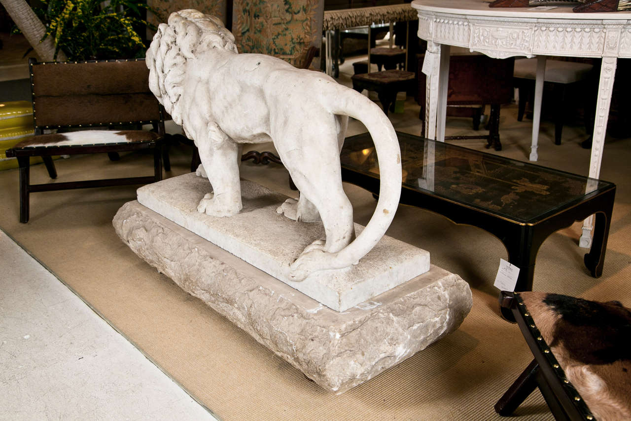 19th C Carved Marble Lion on Marble Plinth 1