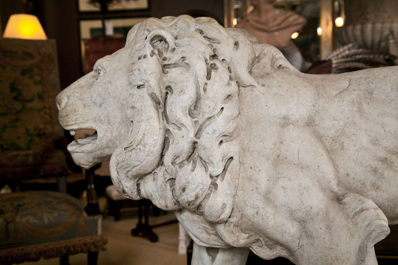 19th C Carved Marble Lion on Marble Plinth 2