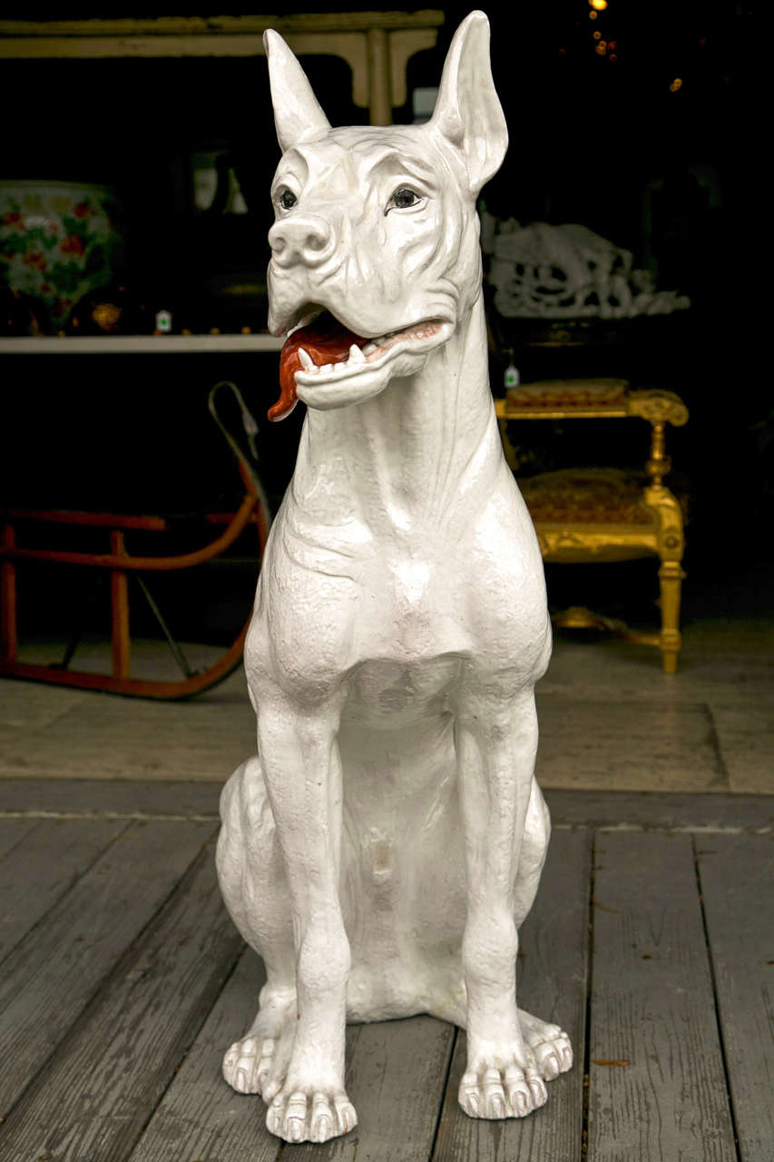 An Italian model of   sitting Great Dane, with his red tongue  protruding.  Extremely well modeled with all the facial wrinkles and powerful muscles showing.<br />
