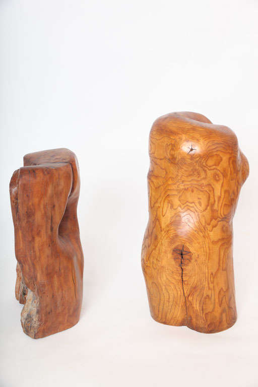 Pair of modern organic abstract feminine form wood floor sculptures, 1960s
Carved, worked, polished trunk wood sculptures depicting abstract feminine forms. 
Larger form 24