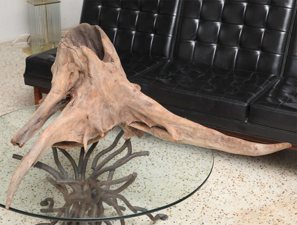 Natural Cypress Driftwood 4