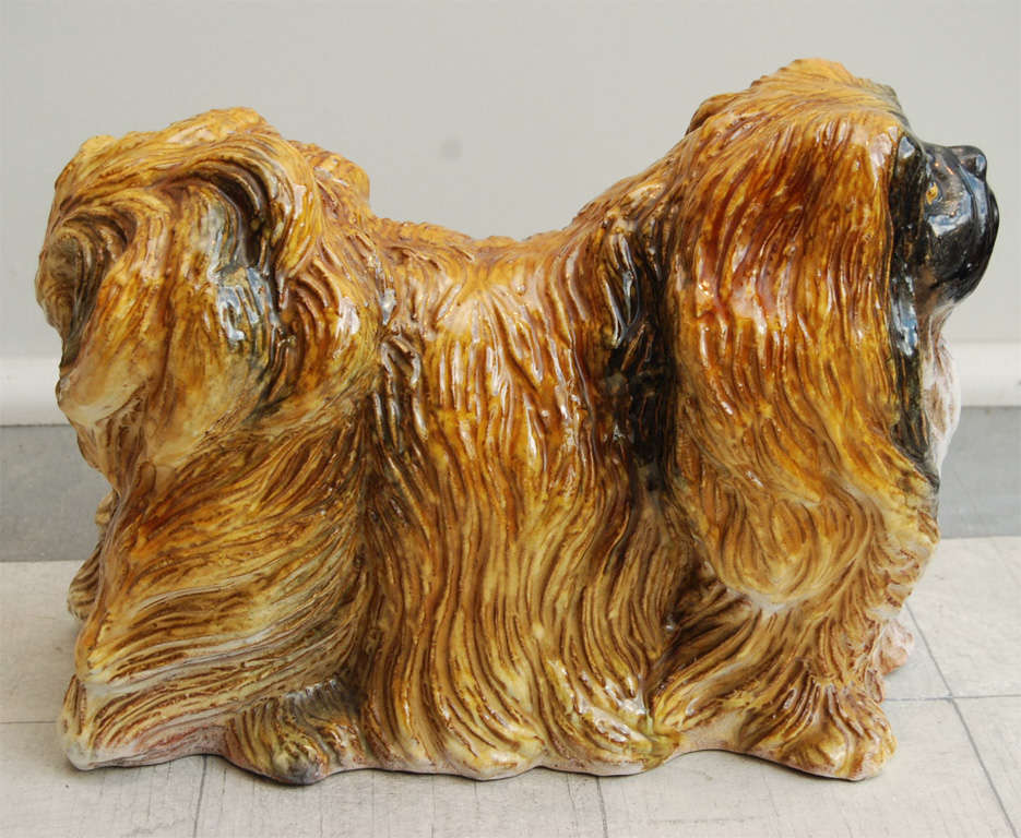 Glazed The Pekingese