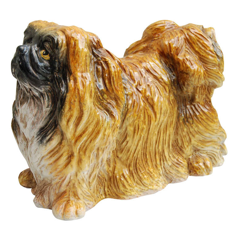 The Pekingese
