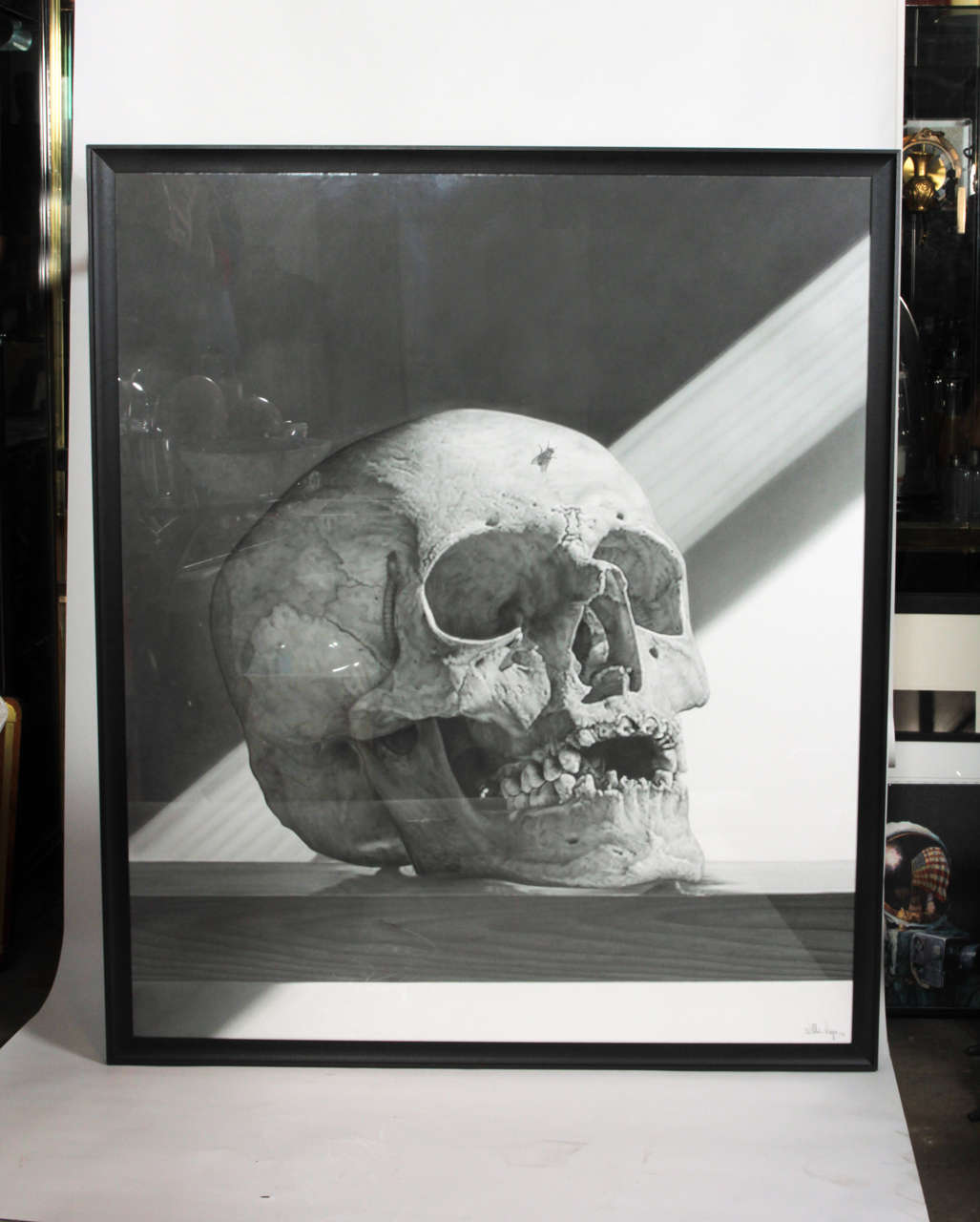 This contemporary pencil drawing by Willis Vega is anatomically perfect. Mr Vega lives in Columbia and is one of the greatest living artist working in this medium. The details of the skull sitting on a wood shelf is so fine  that it appears at first