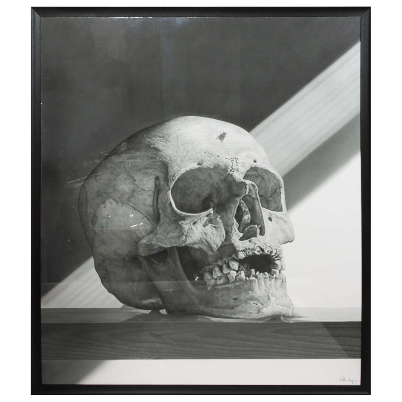 Incredible Hyper Realism Skull Pencil Drawing For Sale