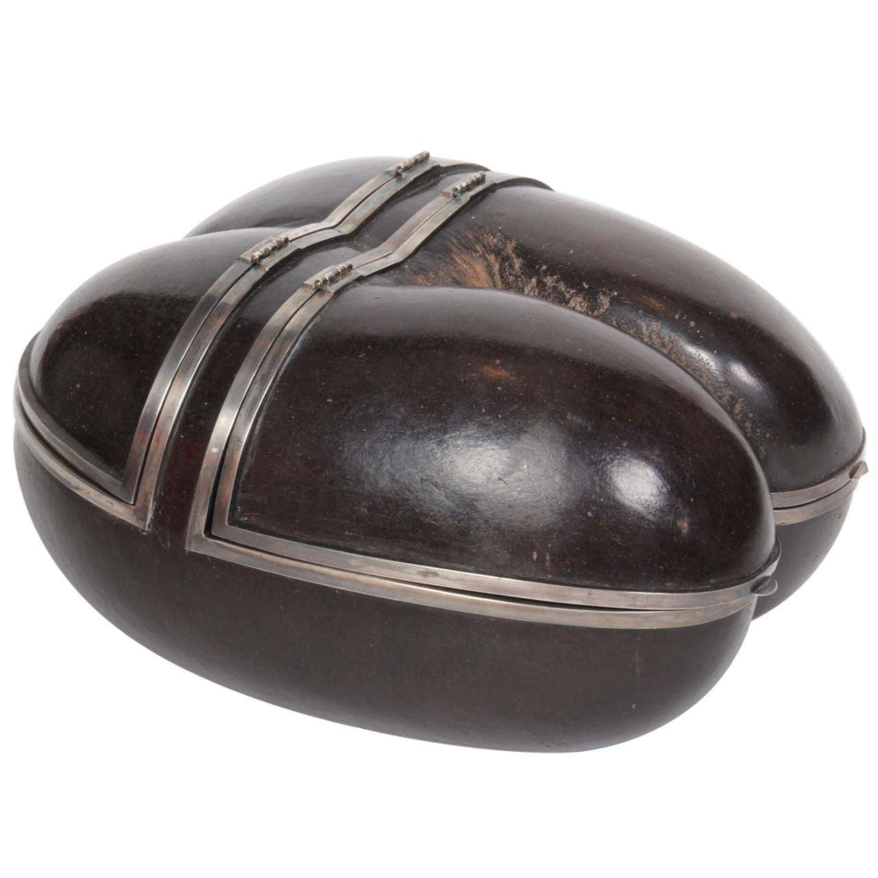 A Fine Silver Mounted Coco De Mer Double Sided Box For Sale at 1stDibs