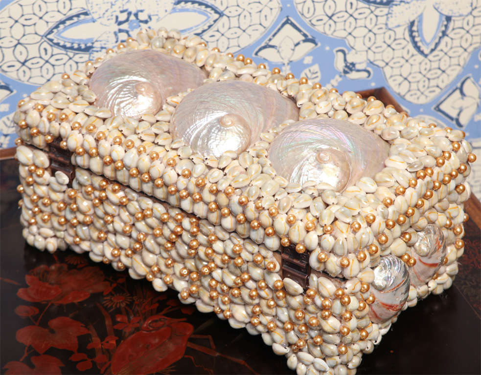 Shell  Jewelry Box 4