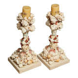 Shell Candlestick