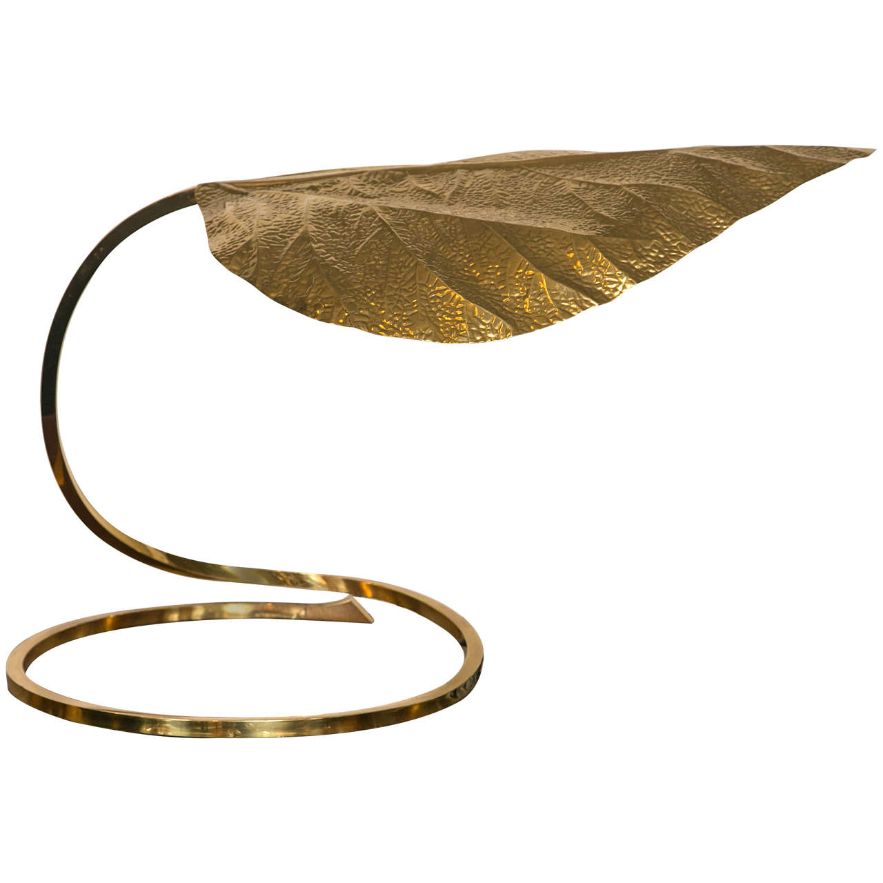 Brass Table Lamp by Tommaso Barbi