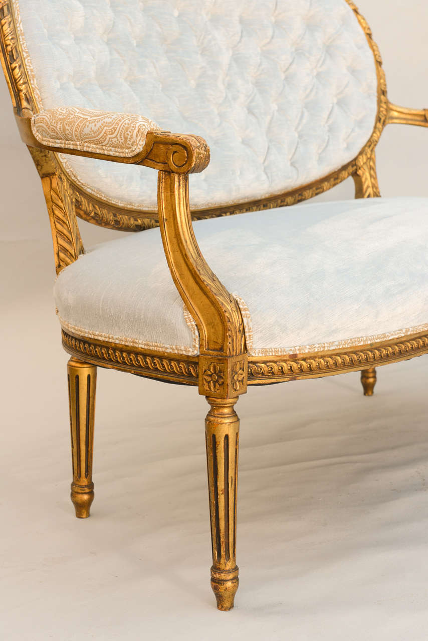 Louis XVI 19th Century French Giltwood Canape Settee 4