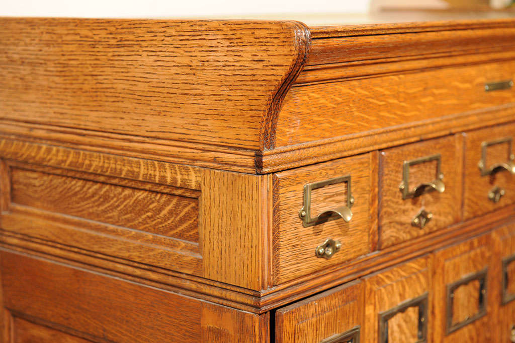 American Oak Multi Drawer File and Erbe at 1stdibs