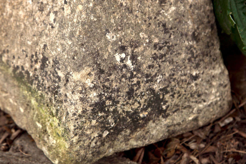 19th-Century Staddle Stone 1