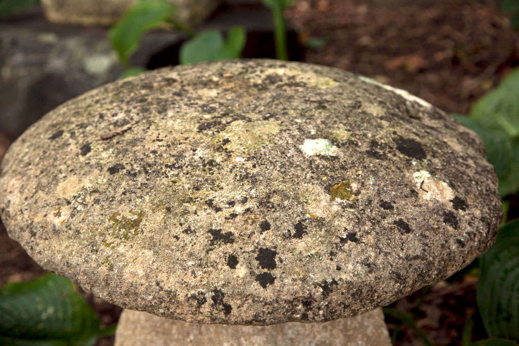 19th-Century Staddle Stone 2