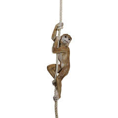 Antique Unique Porcelain Monkey Hanging Fixture