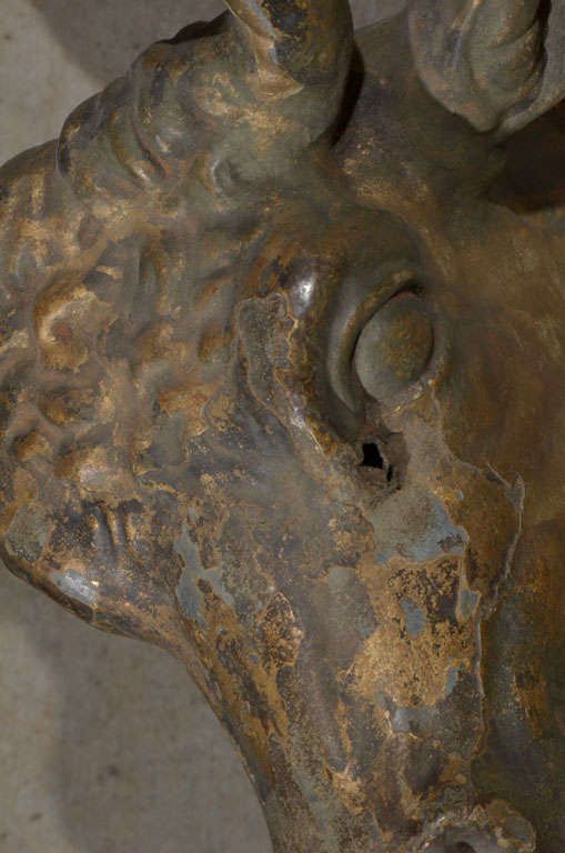 Gilt 19th C. Zinc Bull Head with Original Patina