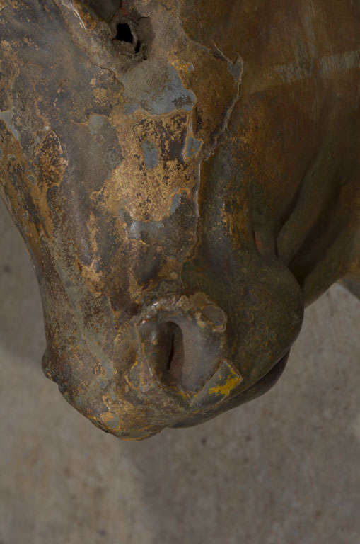 19th Century 19th C. Zinc Bull Head with Original Patina