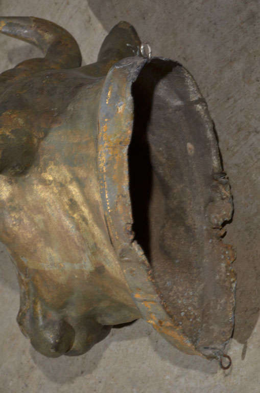 19th C. Zinc Bull Head with Original Patina 2