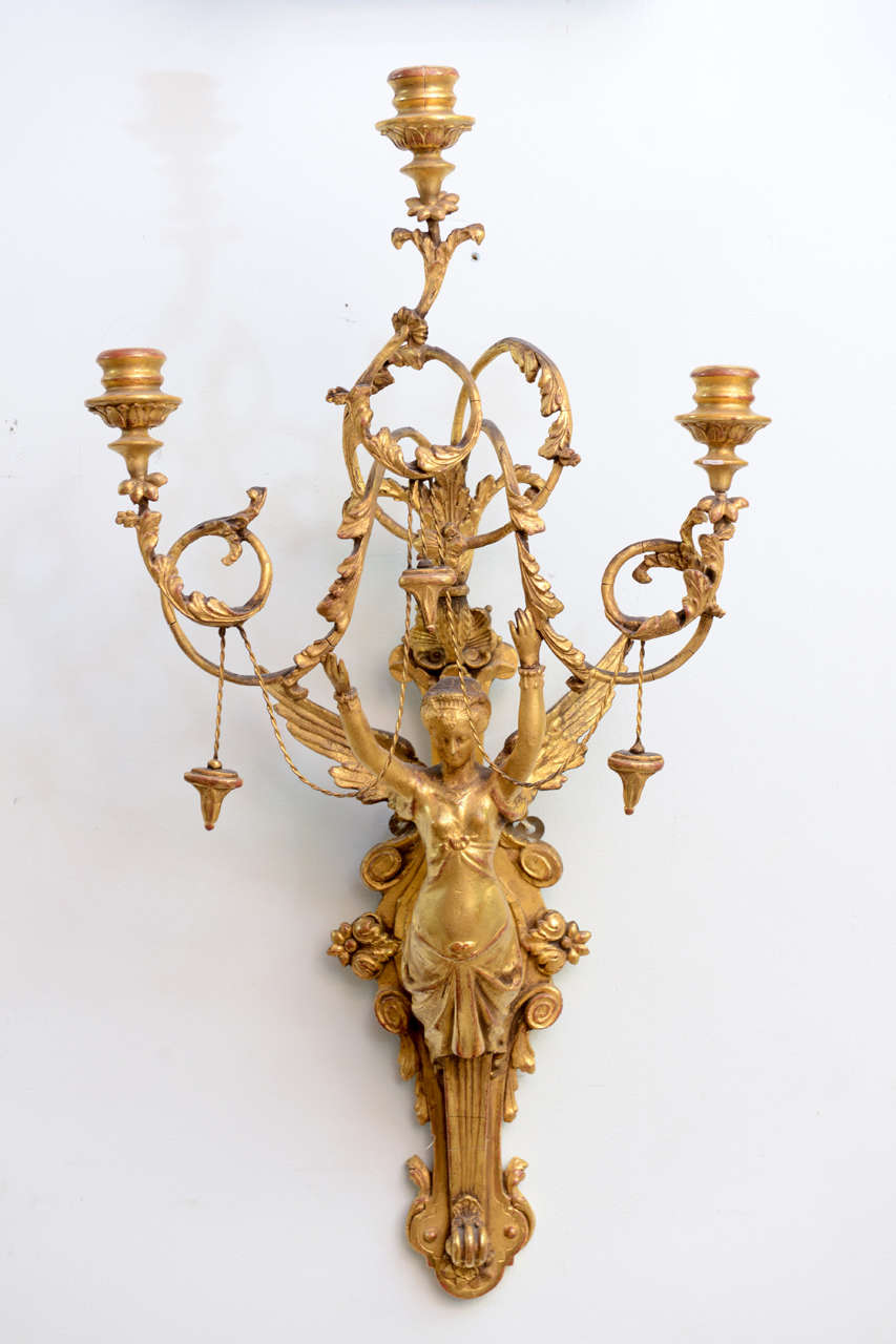 The scrolling candle arms held by an outstretched arm of a classical maiden with wings on an elaborately carved backplate.