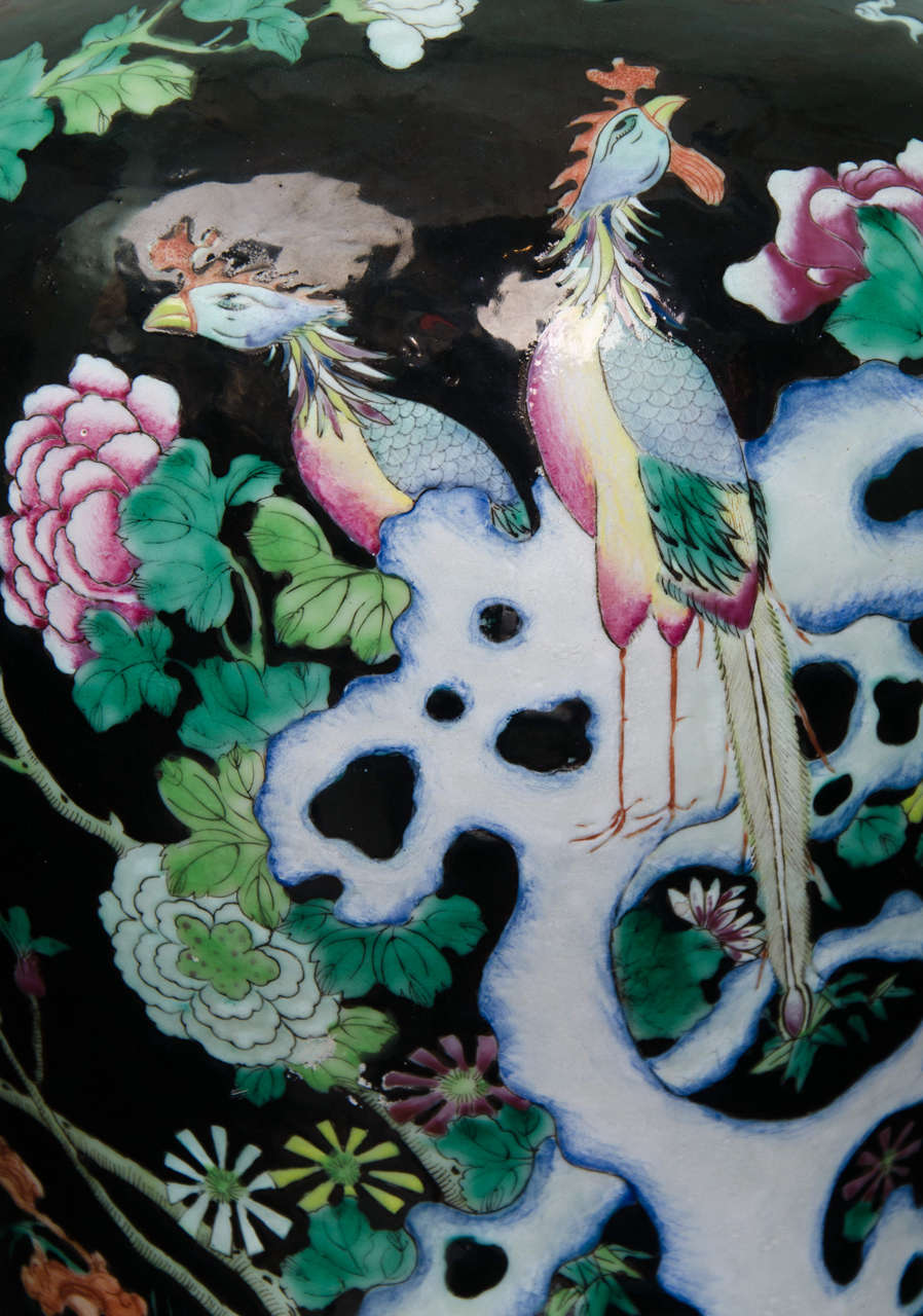 Chinese Famille Noire Porcelain Lamped Baluster Vase, circa 1850 In Excellent Condition In London, GB