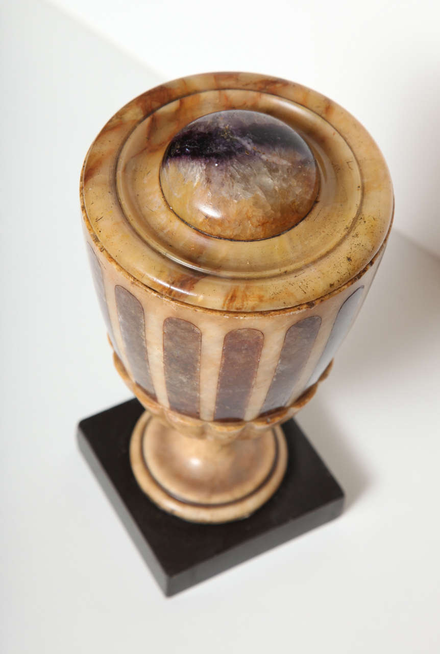 An English Regency Alabaster and Blue John Lidded Urn In Excellent Condition In New York, NY