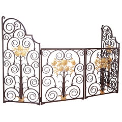 Vintage French 1940s Wrought Iron Screen/Gate