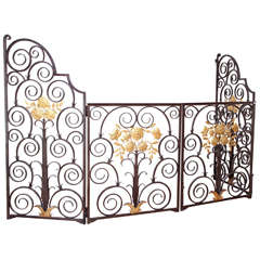 French 1940s Wrought Iron Screen/Gate 9