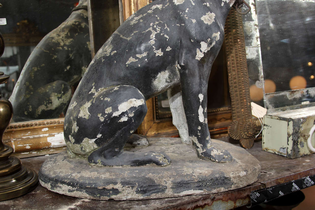 Guard Dogs 6