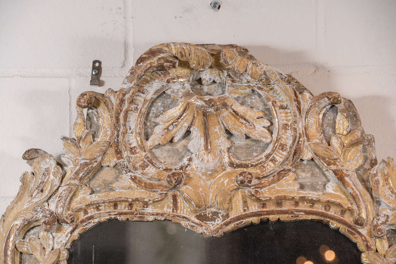 French 18th Century Louis XV Mirror with Shell Motif in Crown
