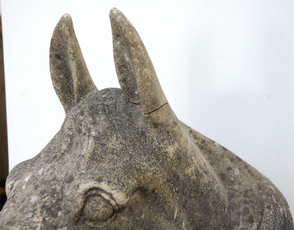Cement Horse Head From Stable, France C. 1800 1